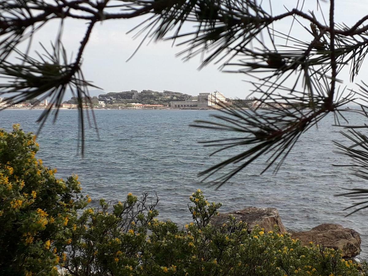 Bandol Nature Et Loisirs: Parking/ Piscine Eksteriør billede