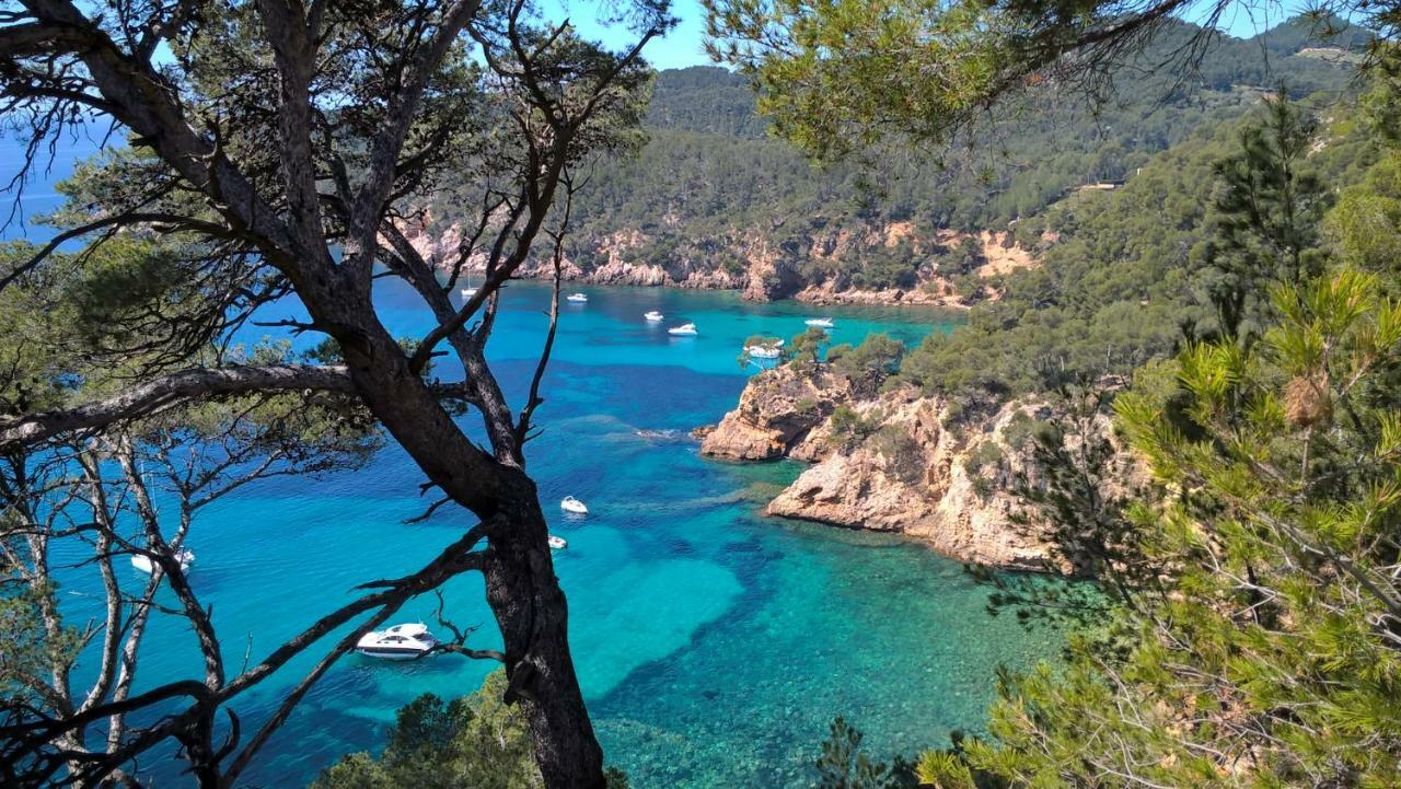 Bandol Nature Et Loisirs: Parking/ Piscine Eksteriør billede
